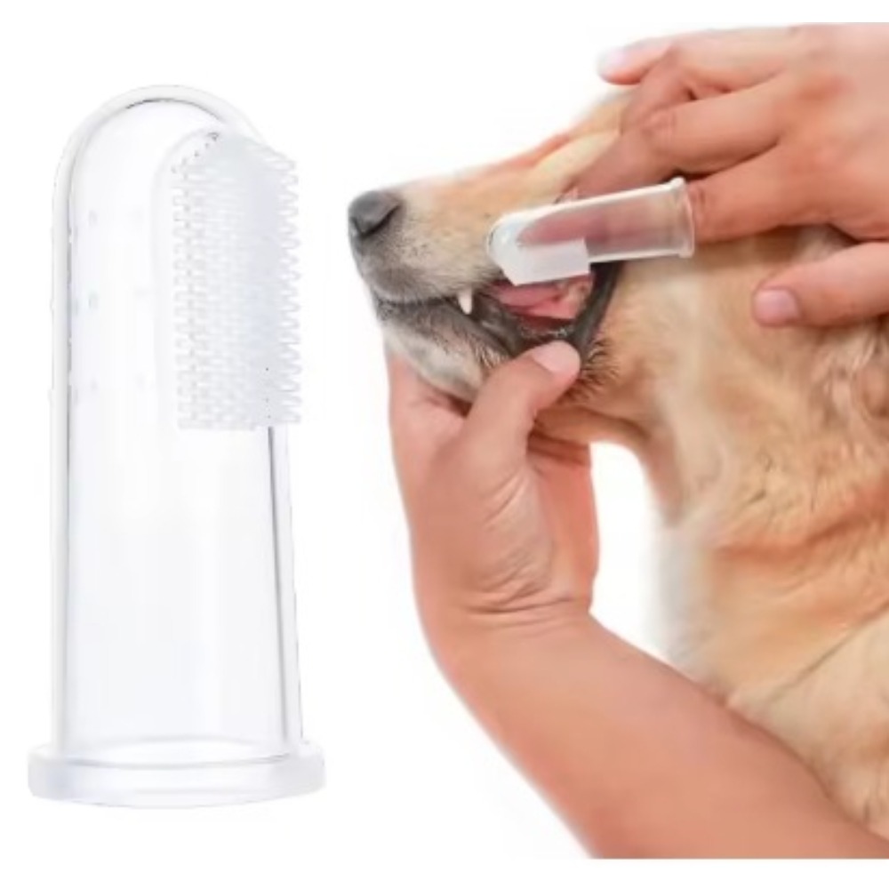 Brosse à dents pour animaux de - Tools & Workshop Equipment For Sale In Hampshire Page 3 50 Gumtree avis et prix